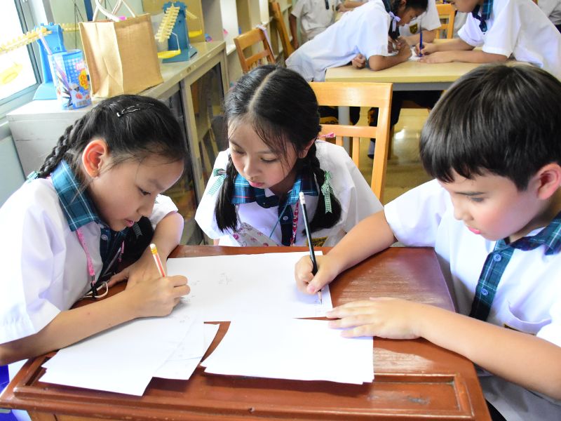 primary2 (2)